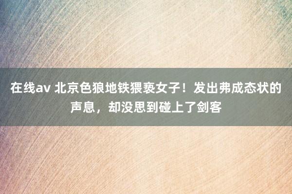 在线av 北京色狼地铁猥亵女子！发出弗成态状的声息，却没思到碰上了剑客