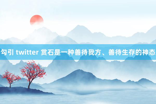 勾引 twitter 赏石是一种善待我方、善待生存的神态