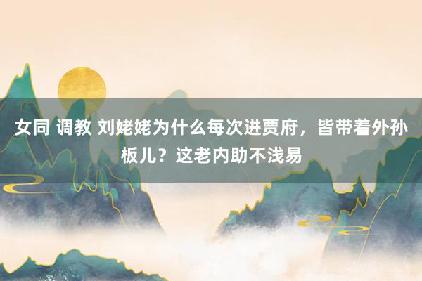 女同 调教 刘姥姥为什么每次进贾府，皆带着外孙板儿？这老内助不浅易