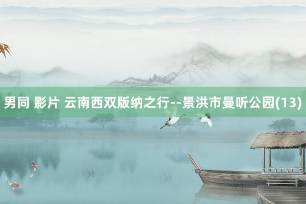 男同 影片 云南西双版纳之行--景洪市曼听公园(13)