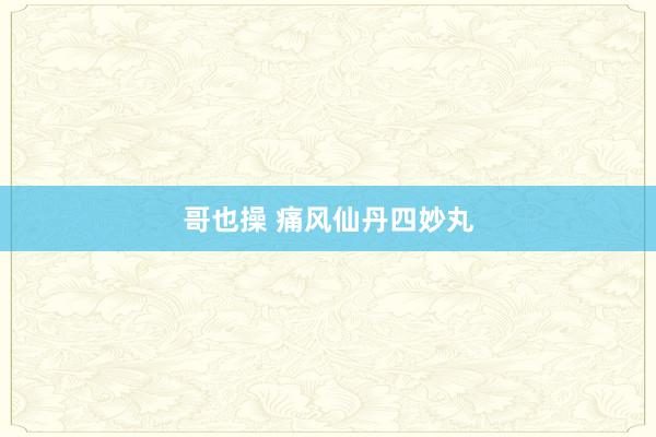 哥也操 痛风仙丹四妙丸