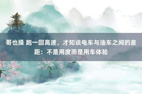 哥也操 跑一回高速，才知谈电车与油车之间的差距：不是用度而是用车体验